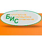 Сайт Бухгалтерского агентства "БИС" Сайт Бухгалтерского агентства "БИС"