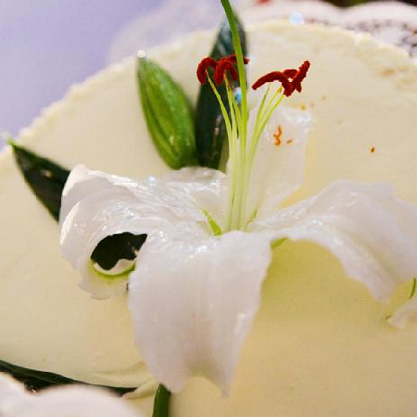 Открытие spa-wellness центра "Бархатный сезон"